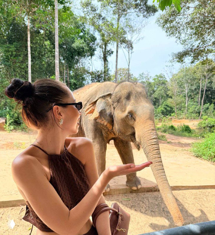 Сафари на Фукуоке: кормление лемуров и слонов