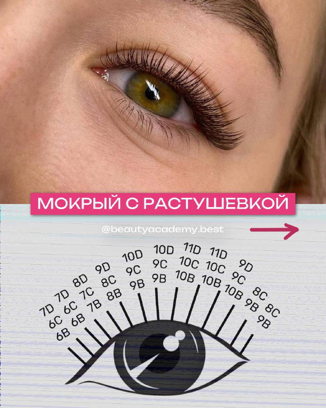 Крупный план глаза с наращенными ресницами и подписью «мокрый с растушёвкой», под фото видна схема‑диаграмма распределения длин.