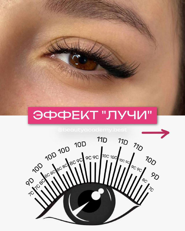 Крупный план глаза с эффектом «лучи» — веерообразное распределение ресниц; под фото чертёж схемы с указанием ступеней длин.
