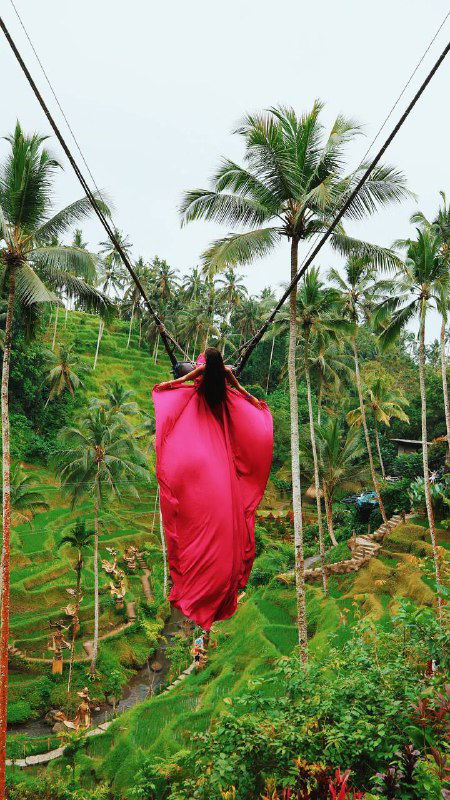 Человек в ярко-розовом платье на подвешенном гамаке между пальмами над зелёными рисовыми террасами — эффектный тропический кадр.