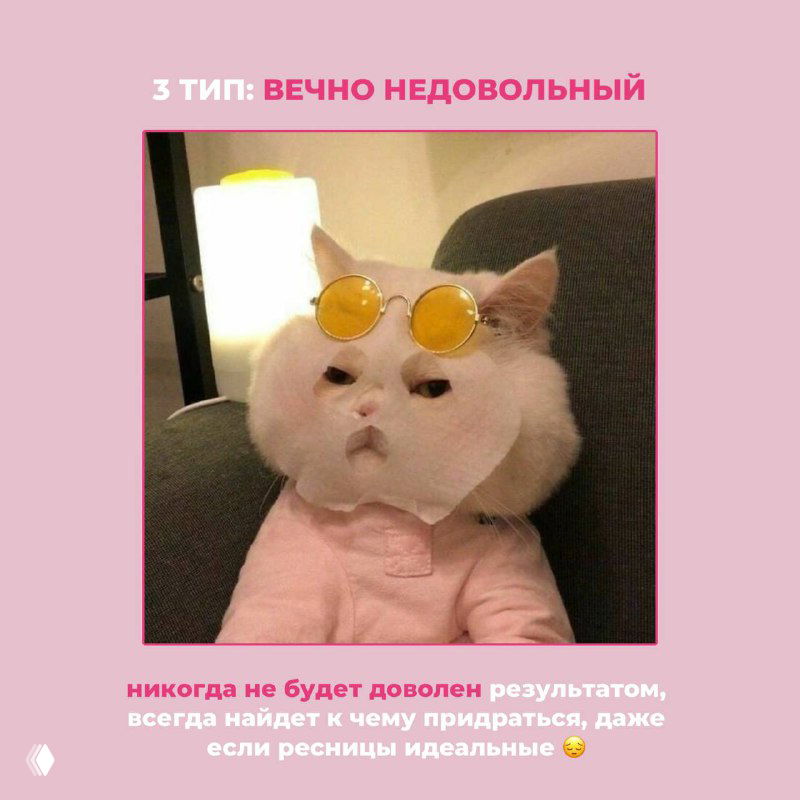 Картинка: кот с очками и недовольным выражением, иллюстрация «вечно недовольного» клиента, который всегда находит к чему придраться даже при хорошем результате.