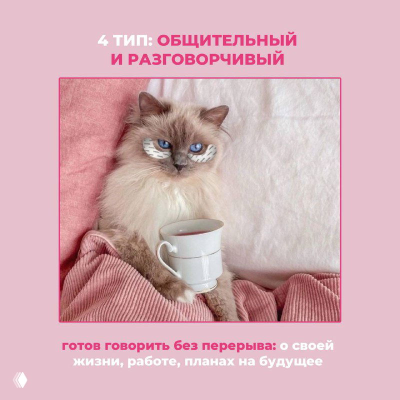 Картинка: уютный кот с чашкой, визуализация «общительного и разговорчивого» клиента, который любит обсуждать жизнь и планы во время наращивания ресниц.