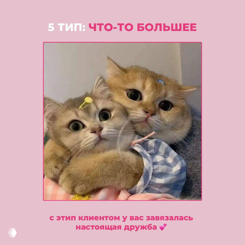 Картинка: два обнимающихся котёнка, иллюстрация типа «что-то большее» — клиент, с которым складывается дружба и который возвращается снова и снова.