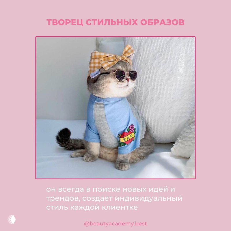 Кошка в стильной повязке и очках на розовом фоне: карточка «ТВОРЕЦ СТИЛЬНЫХ ОБРАЗОВ», иллюстрация мастера, который ищет идеи и создает индивидуальный стиль клиентки.