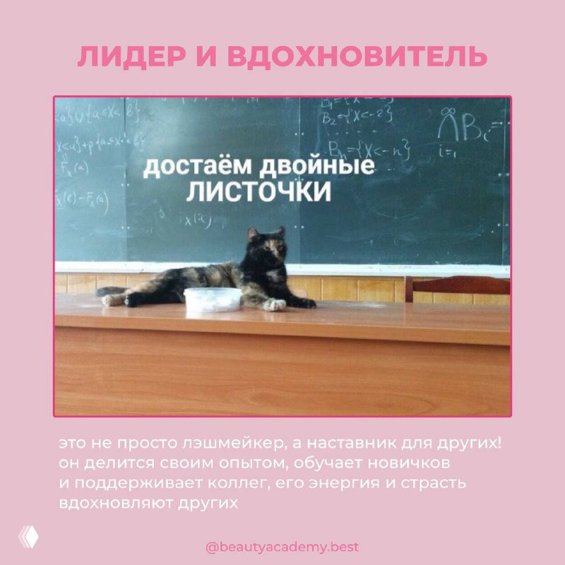 Кот на школьной доске указывает лапой, поверх изображение с текстом «достаём двойные листочки», карточка «ЛИДЕР И ВДОХНОВИТЕЛЬ», мотивирует и обучает других мастеров.