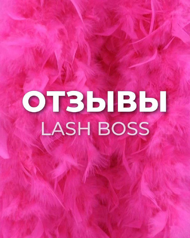 Отзывы и приглашение на курсы LASH BOSS