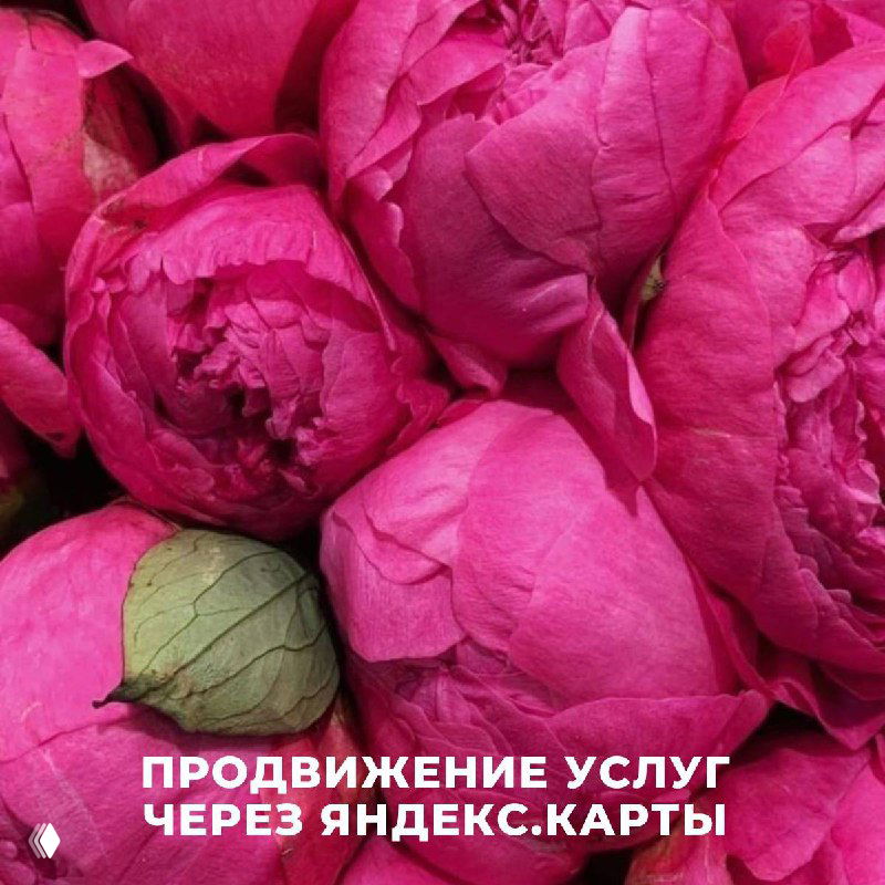 Продвижение услуг через Яндекс.Карты