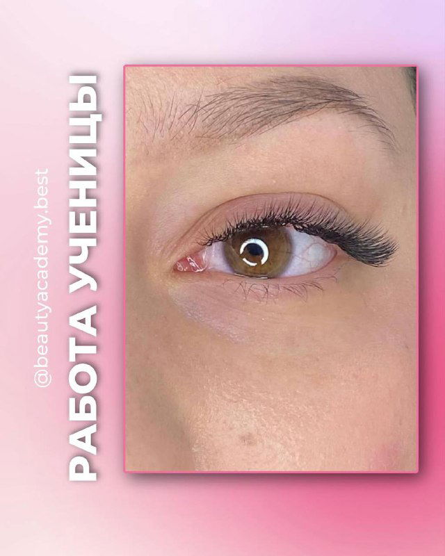 Крупный план глаза с тщательно наращенными ресницами: чёткая линия, ровный изгиб и аккуратное распределение пучков, розовая рамка кадра.