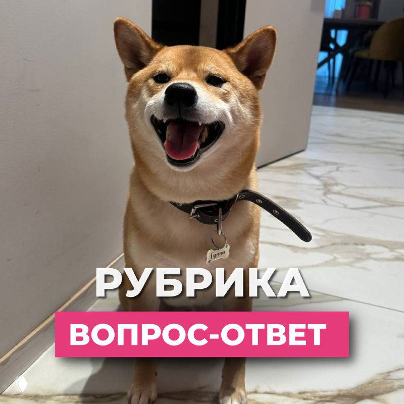 Вопрос–ответ