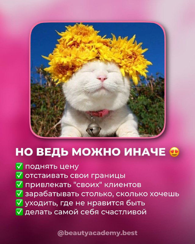 Фотография кота с венком из цветов на фоне природы, сопровождающая текст о том, что можно иначе: поднять цену, привлекать клиентов и быть счастливой.