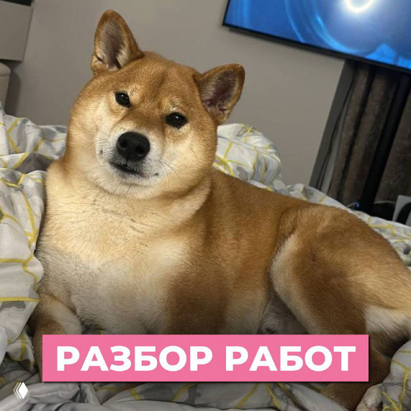 Время РАЗБОРОВ — разбор работ по ресницам