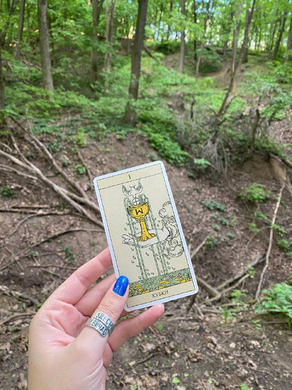 Тарологов запретили