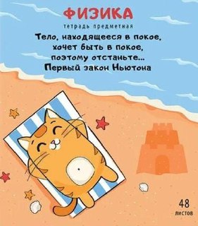 Обложка тетради по физике: кот загорает на пляже, подпись про первый закон Ньютона, море, песочный замок и элементы юмора в мультяшной обложке.