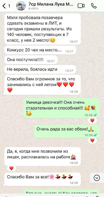 Вертикальный скриншот переписки, где родители обсуждают успешное поступление ученика в лицей; просмотры сообщений и эмодзи подтверждают радость.
