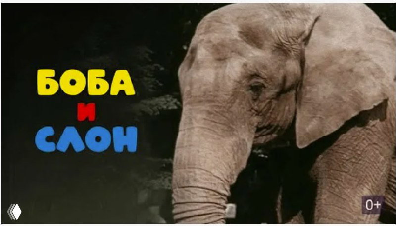 Постер мультфильма «Боба и слон»: крупный план слона и надпись названия, иллюстрирующие тему дружбы ребёнка и животного в советской анимации.