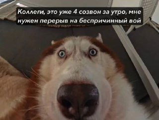 Календарь энергии