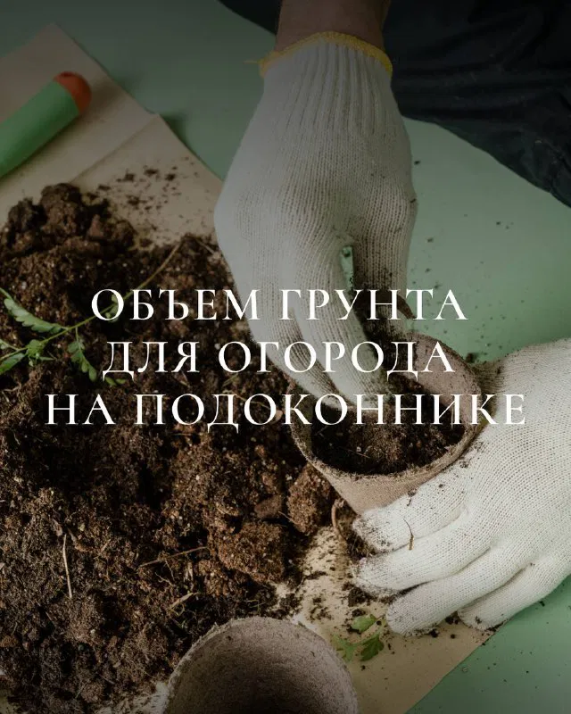Какой объем грунта нужен для огорода на подоконнике