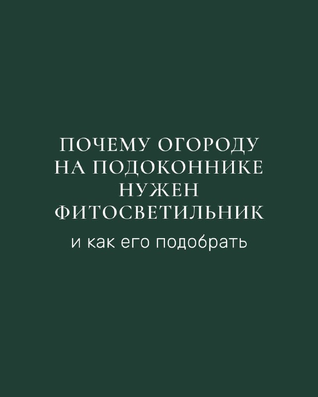 Какой фитосветильник нужен для огорода на подоконнике?