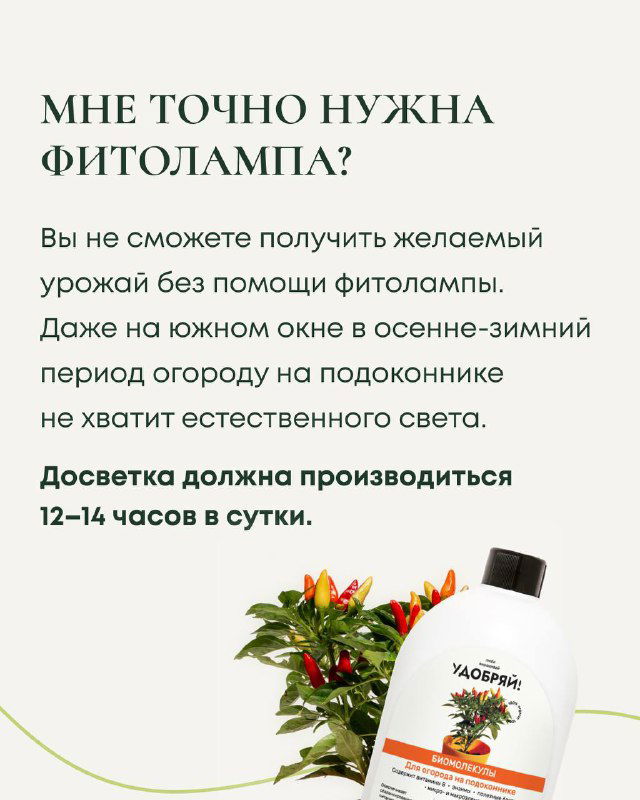 Слайд с текстом: объяснение, что без фитоламп желаемый урожай получить сложно; упоминание дозвета 12–14 часов в сутки; изображение горшка и удобрения.