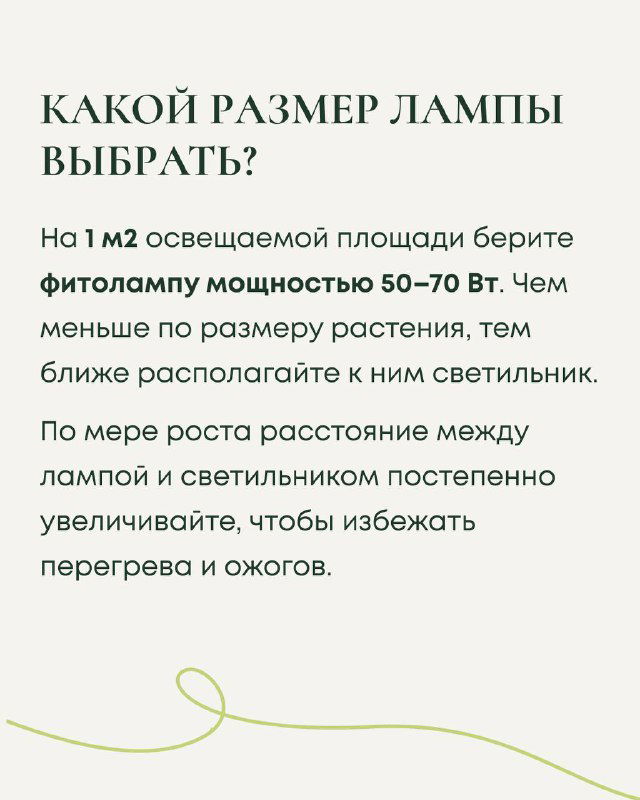 Слайд про размер лампы: рекомендация мощности 50–70 Вт на 1 м², совет располагать лампу ближе к растениям для меньших экземпляров, стильная иллюстрация.