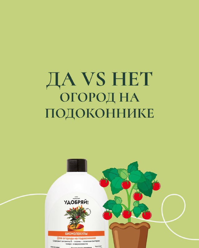 Что мешает вырастить богатый урожай на подоконнике?