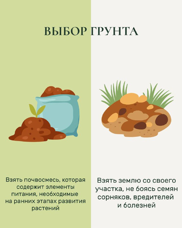 Карточка «Выбор грунта»: изображения мешка с почвосмесью и земли с корнями, рекомендации брать почвосмеси с нужными элементами питания или землю со своего участка.