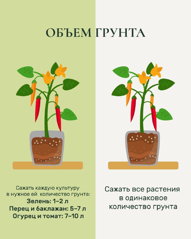 Карточка «Объём грунта»: рисунок горшков с указаниями необходимого количества земли для разных культур и количества растений в горшке (перец, баклажан, томат).
