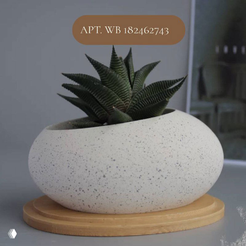 Камнеобразный белый овальный горшок с суккулентом на деревянной подставке, нейтральные тона и фактура в духе джапанди и минимализма.