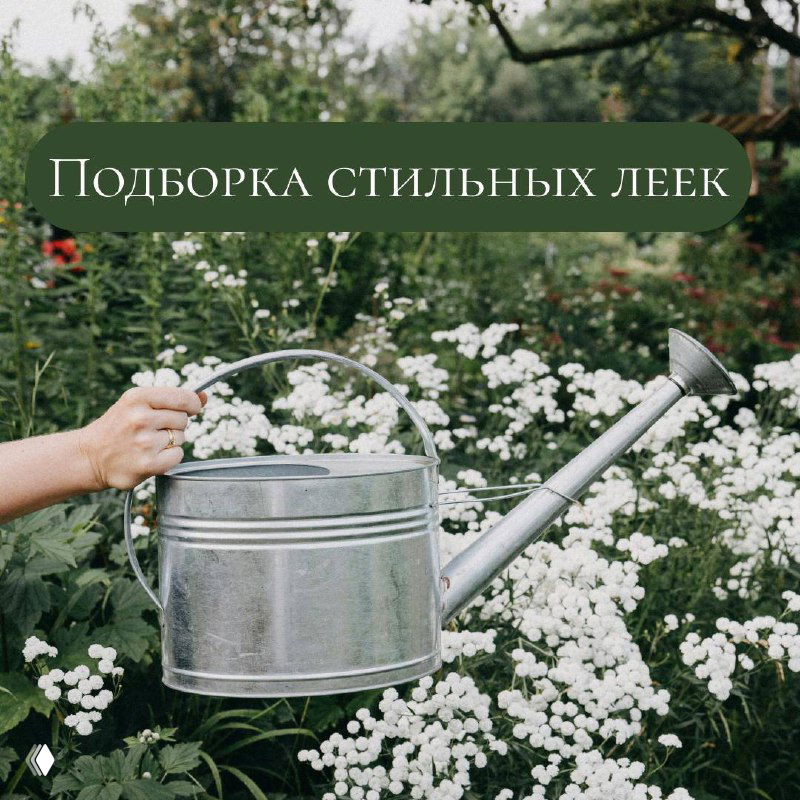 Стильные лейки для дома и огорода