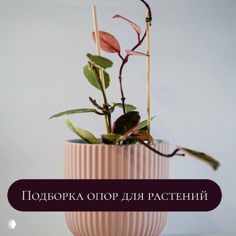 Подборка опор для растений