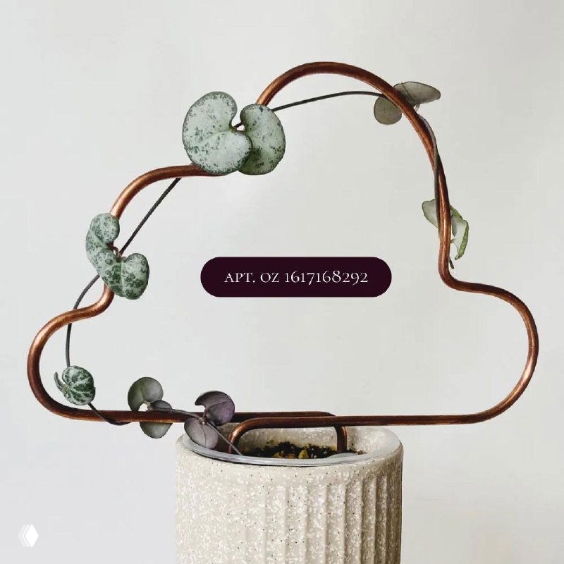 Круглая металлическая опора в форме облака с вьющимся растением, акцент на декоративную форму и поддержку побегов.