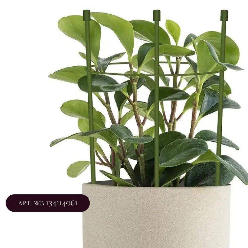 Несколько тонких пластиковых или металлических штырей-опор в горшке с густой листвой, классический набор для поддержки растений.