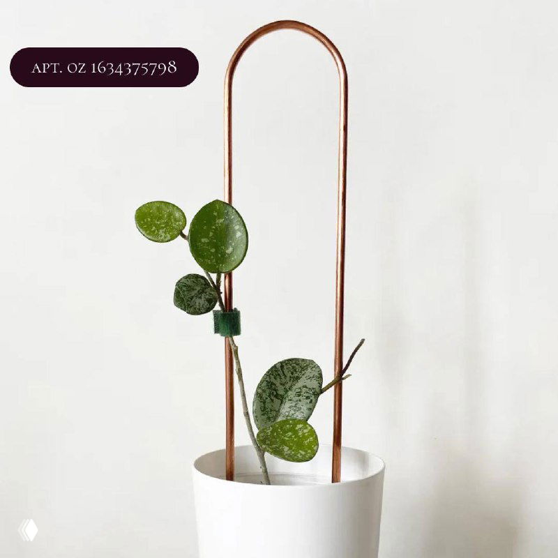 Высокая дугообразная металлическая опора в белом горшке с молодым побегом, тонкая и элегантная поддержка для вьющихся растений.