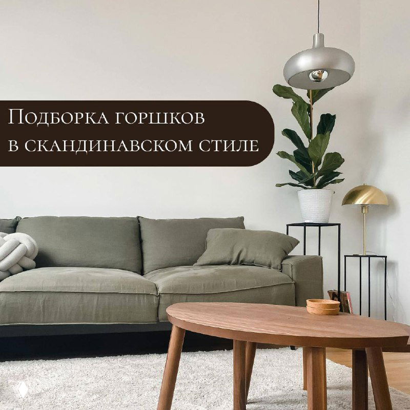 Подборка горшков для интерьера в скандинавском стиле 🪴