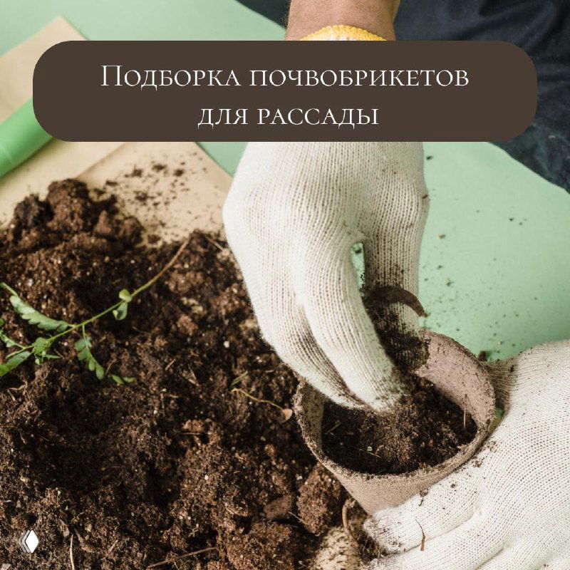 Подборка почвобрикетов для посева семян на рассаду