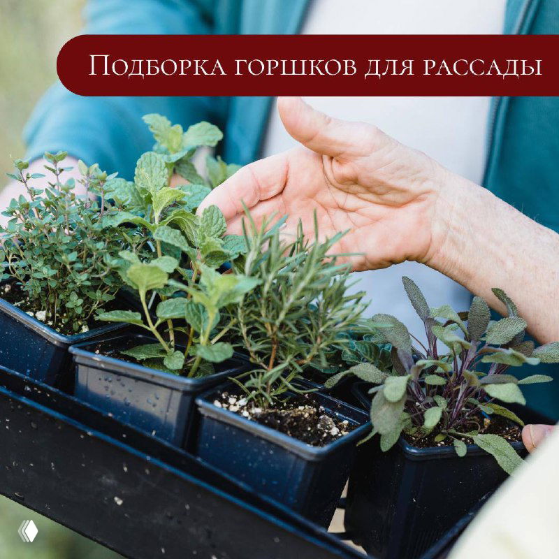 Подборка горшочков для рассады