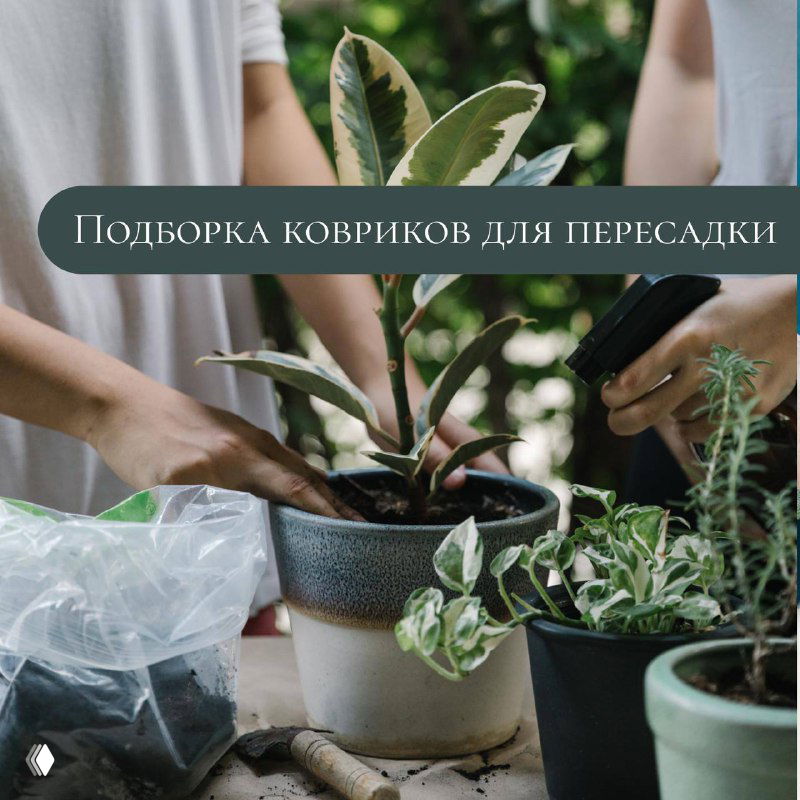 Подборка ковриков для пересадки с Wildberries