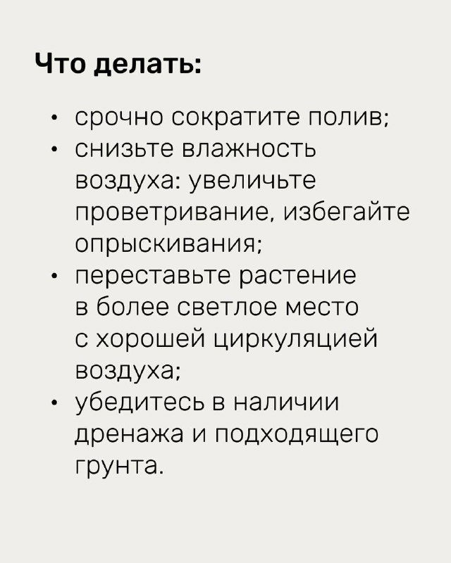 Слайд с рекомендациями по устранению отёка: сократить полив, снизить влажность воздуха, увеличить проветривание, переставить растение в светлое место и проверить дренаж.