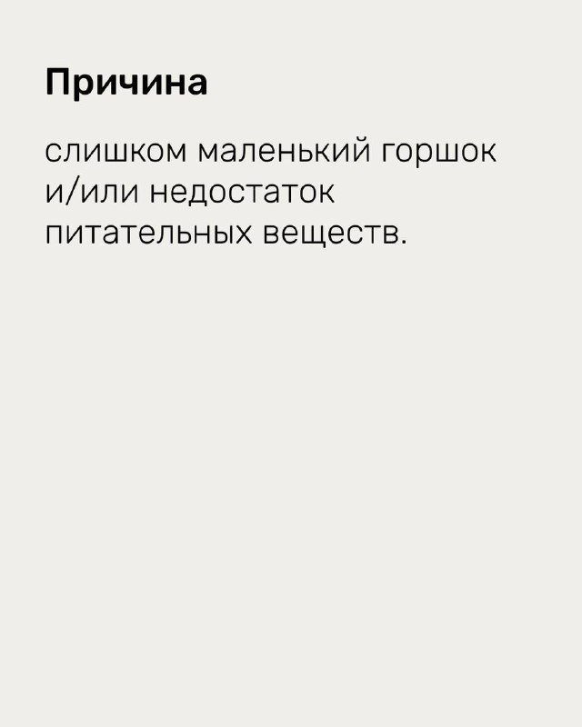 Слайд с причиной проблемы: текст объясняет, что причиной может быть слишком маленький горшок и/или дефицит питательных веществ, простая иллюстрация.