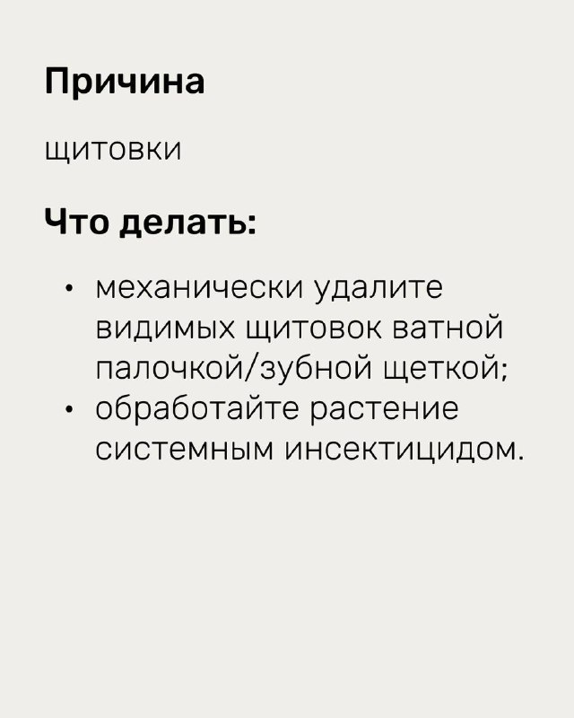 Слайд с причиной и рекомендациями по щитовкам: указано механическое удаление и обработка системным инсектицидом, сопровождающая иллюстрация растения.