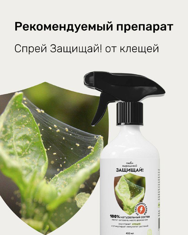 Фотография спрея «Защищай! от клещей» на фоне листа — рекомендуемый препарат для обработки растений против паутинного клеща.