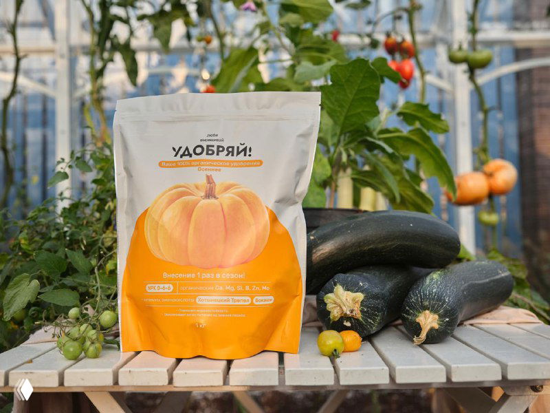 Нужна ли подкормка в конце лета и осени?