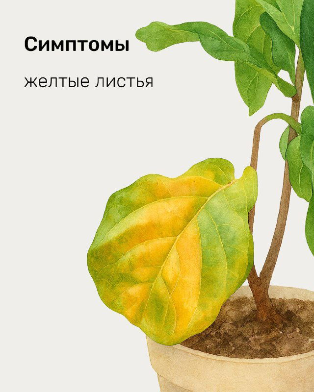 Иллюстрация жёлтого листа в горшке: визуализация пожелтения листьев как симптома — возможные причины включают неправильный полив или дефицит питательных веществ.