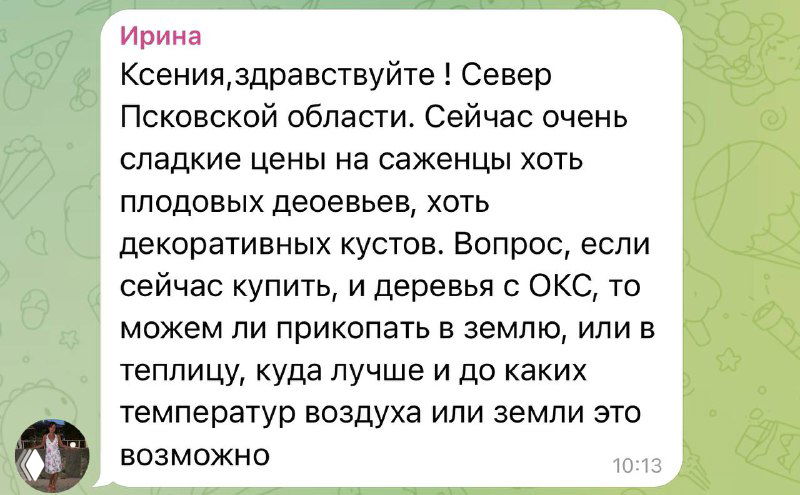 Зимняя прикопка саженцев в средней полосе
