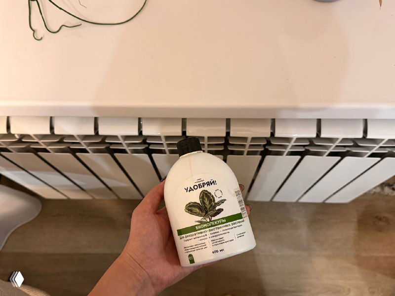 Как помочь комнатным растениям пережить зиму