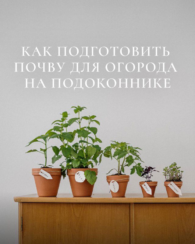 Как выбрать и приготовить грунт для овощей