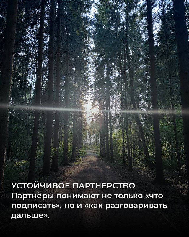 Свет в сосновом лесу; карточка про устойчивое партнёрство и умение вести разговоры 'выше' формального подписания.