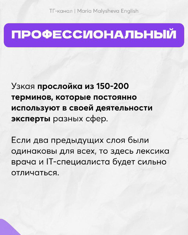Слайд «ПРОФЕССИОНАЛЬНЫЙ»: про узкую прослойку из 150–200 терминов, используемых экспертами в своих сферах; фиолетовые заголовки и структурированный текст.