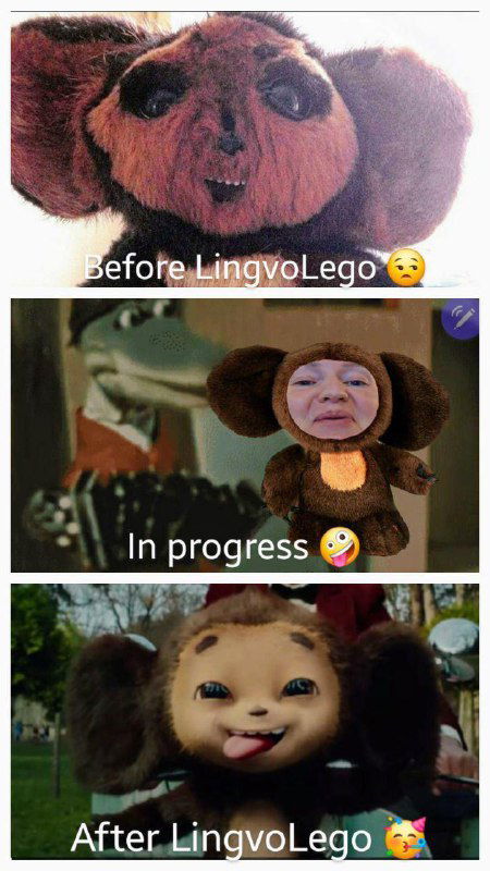 Коллаж «before — in progress — after» с персонажами-медвежатами — визуальная метафора прогресса учеников после занятий LingvoLego, учебный юмор.