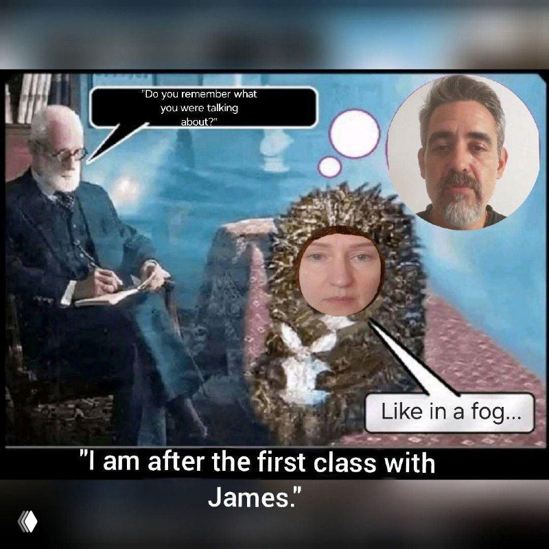 Коллаж с изображением психоаналитической сцены и ежика с подписью «I am after the first class with James» — студенческая шутка про состояние после занятия.